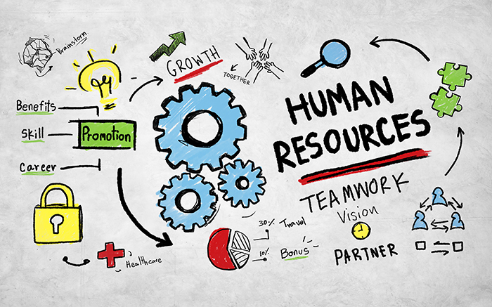 Outsourcing your HR – What to Consider