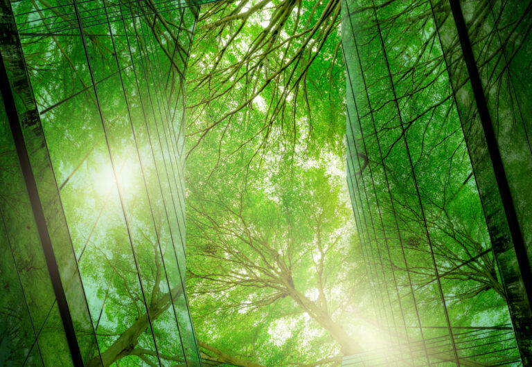 How HR can help businesses step up to the green agenda